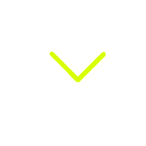 yellowArrow.gif not found